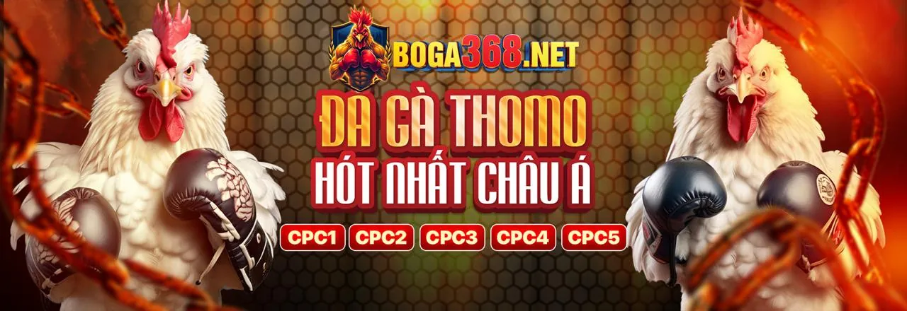 Chính Sách Bảo Mật xvip - Bảo Vệ Dữ Liệu Cá Nhân